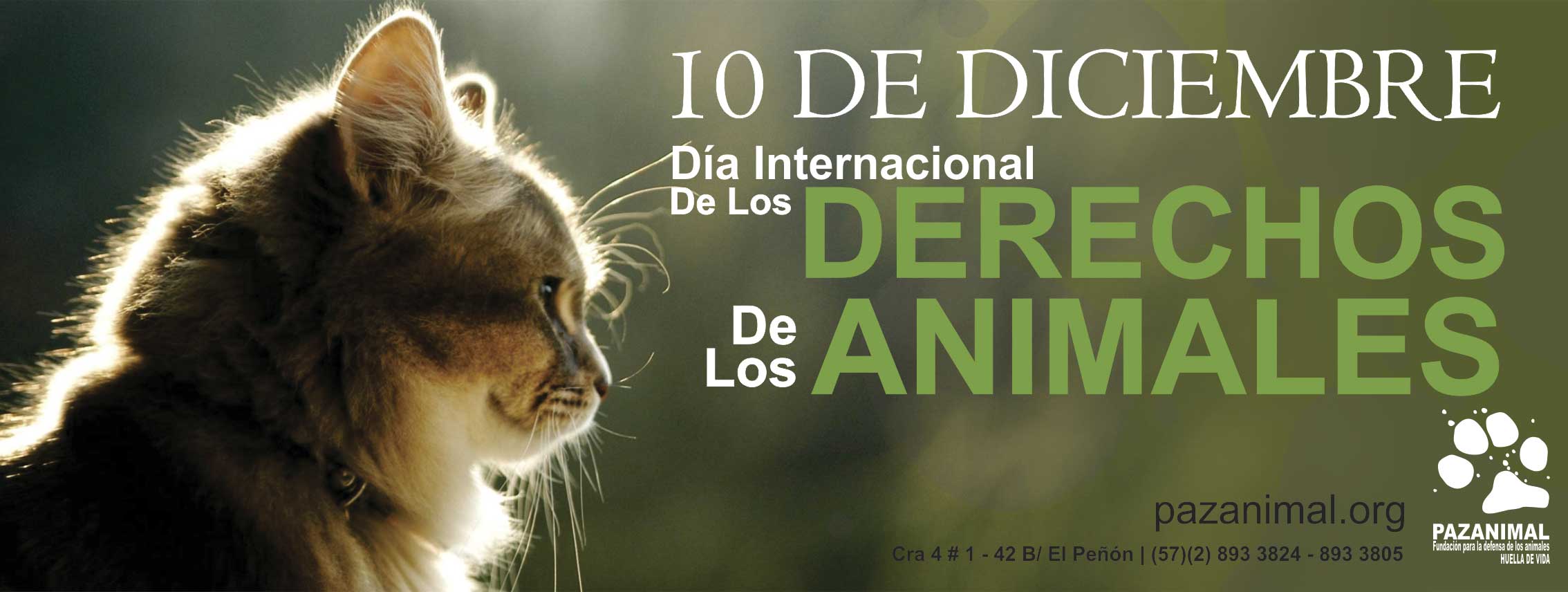 Día Internacional de los Animales